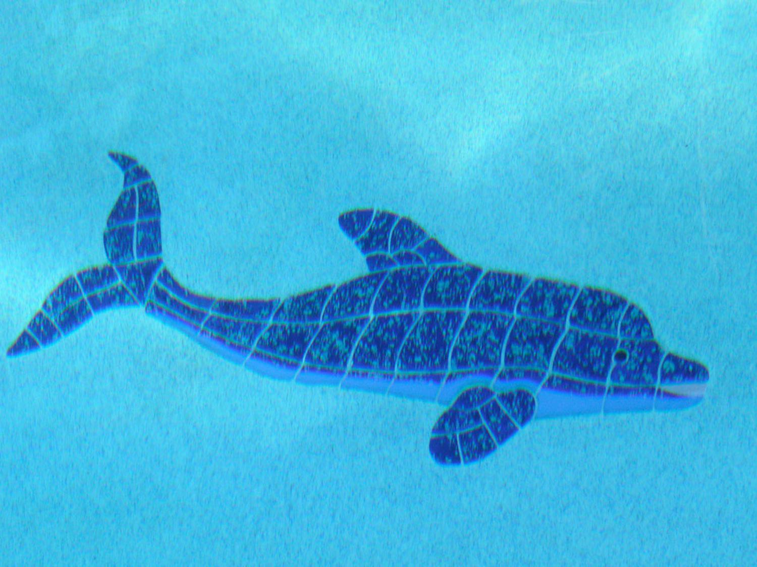 Dolphin Retreat - East Boca Raton Villa Eksteriør bilde